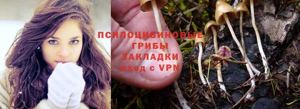 прущая мука Коряжма