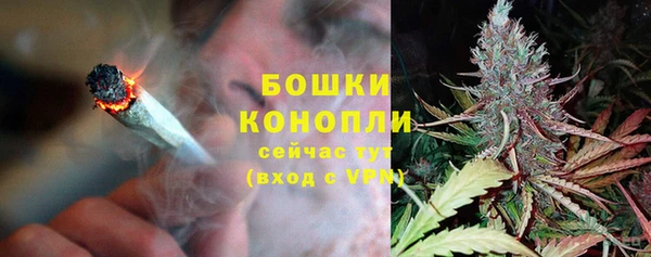 бошки Корсаков