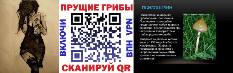ОМГ ОМГ как войти  Чулым  Галлюциногенные грибы GOLDEN TEACHER  закладки 